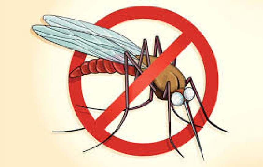 Pencegahan Malaria